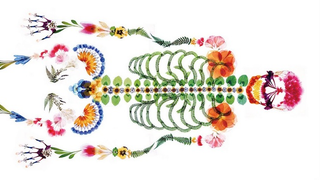 Surprising funeral ad makes a lovely skeleton from pressed flowers